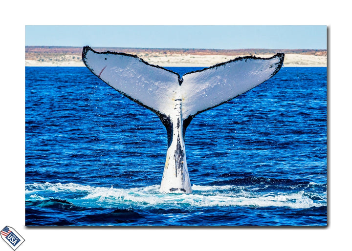 Majestic Whale Tail - Oceanic Elegance Wall Art