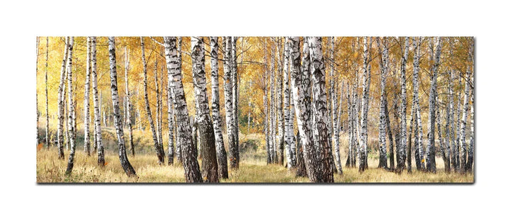 Golden Grove - Autumn Birch Forest