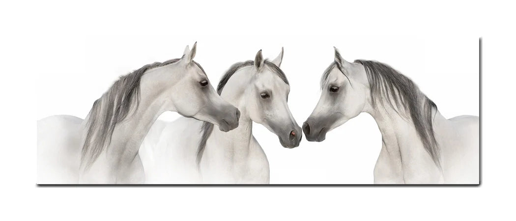 Graceful Trio - Arabian Elegance