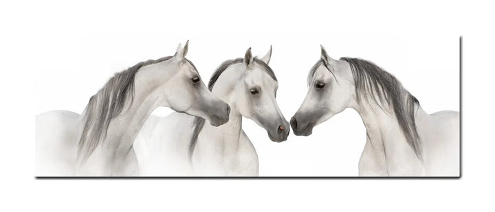 Graceful Trio - Arabian Elegance