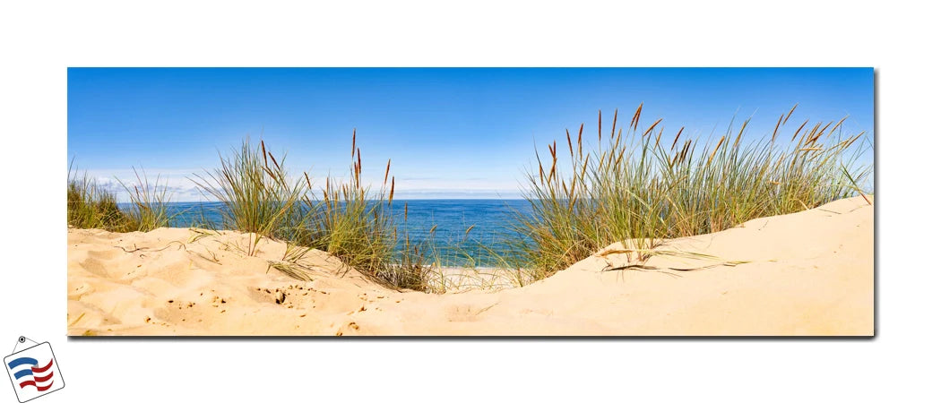 Serenity by the Shore - Coastal Dunes and Endless Blue