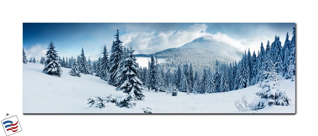 Winter Wonderland - A Snowy Mountain Escape