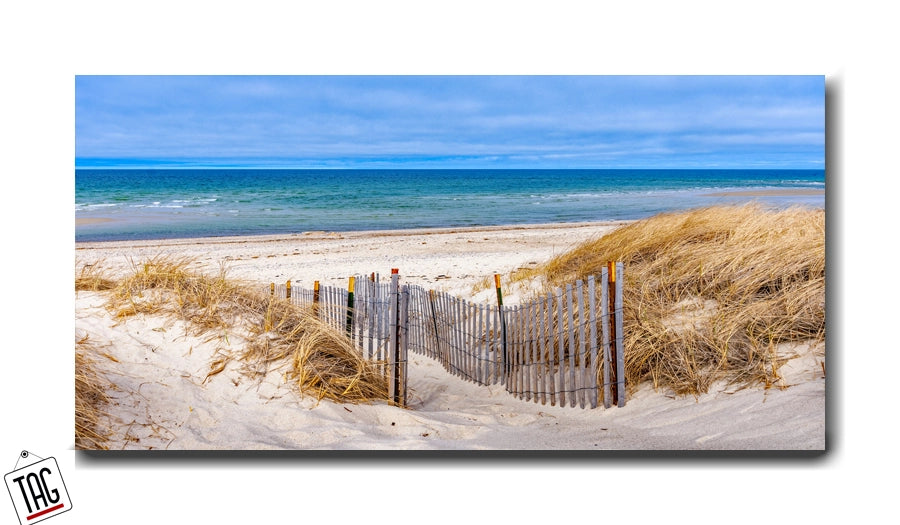 Coastal Serenity - Windswept Dunes Path