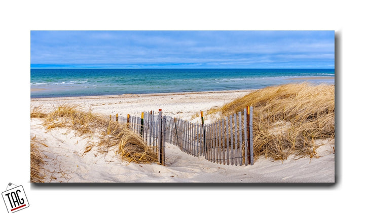 Coastal Serenity - Windswept Dunes Path