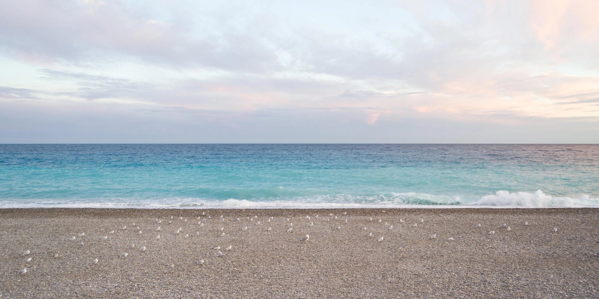 Seashell Shore - Gentle Coastal Moments Wall Art