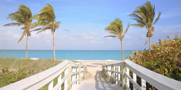 Palm-Lined Boardwalk - Ocean Breeze Retreat