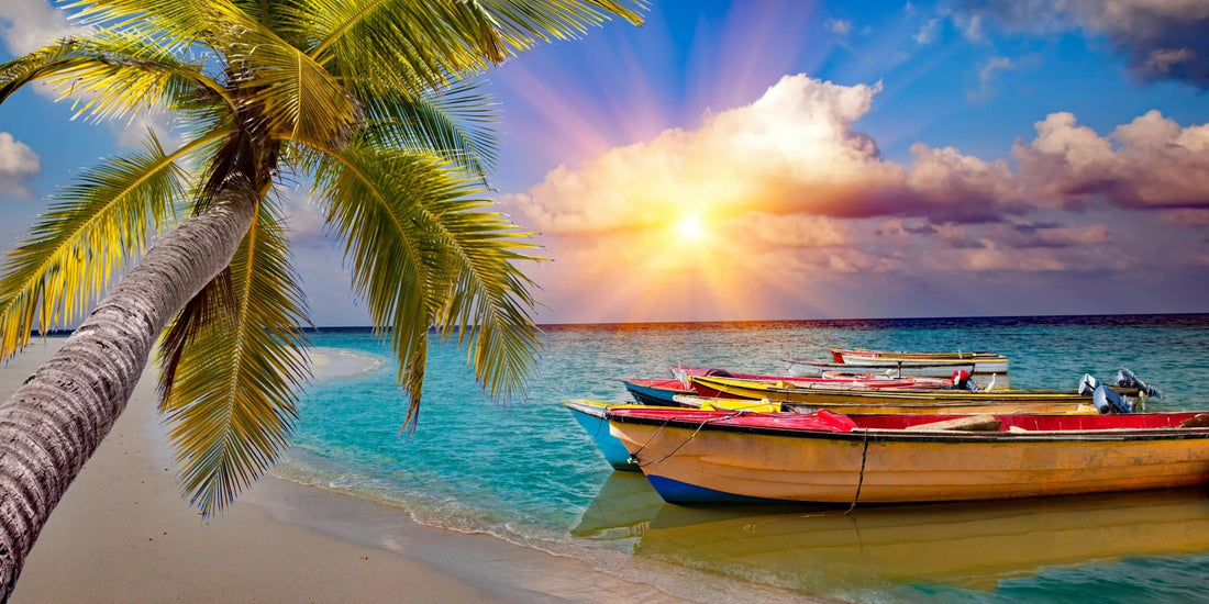 Tropical Dawn - Sunrise Beachfront Art