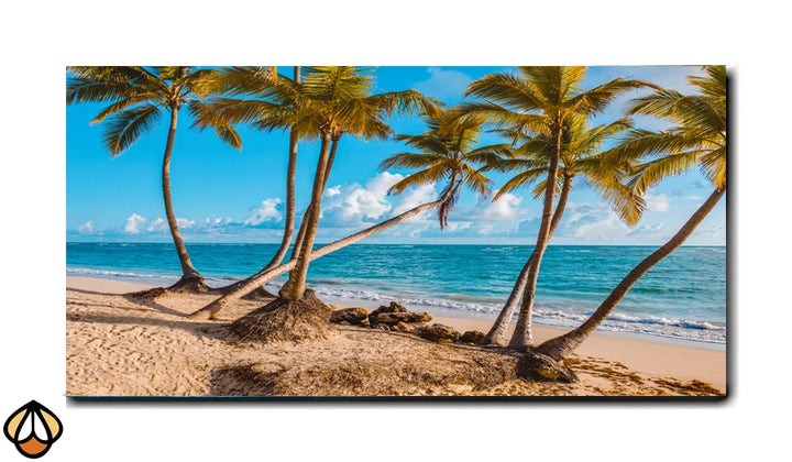 Tropical Bliss - Palm Beach Escape Wall Art