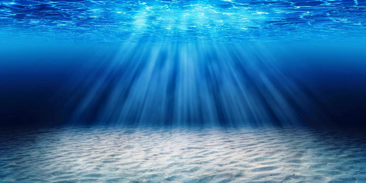 Underwater Serenity - Premium Wall Art