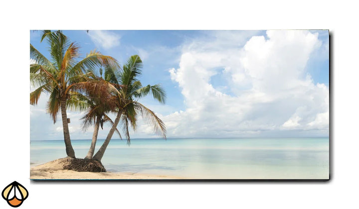 Tranquil Shoreline Escape - Wall Art