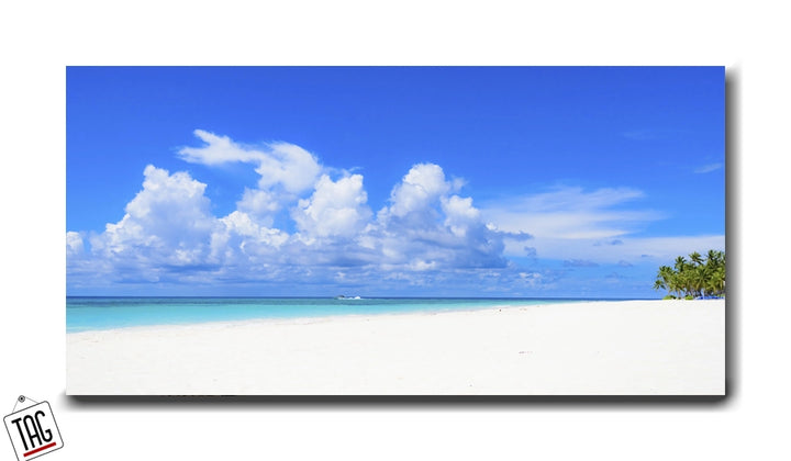 Pristine Paradise - Premium Wall Art