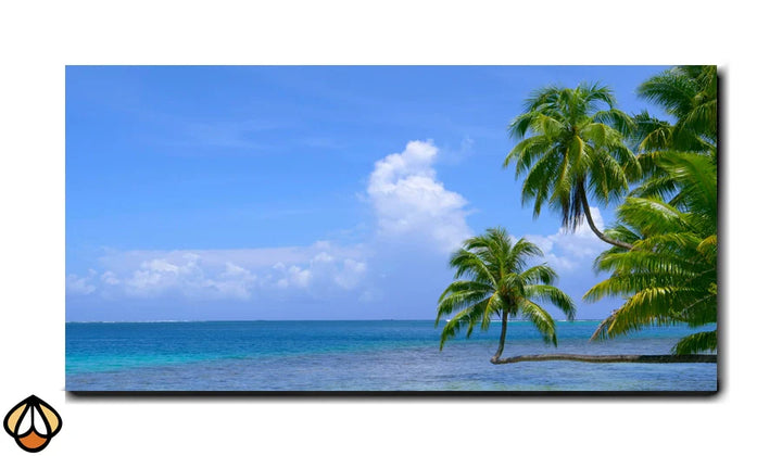 Tropical Tranquility - Palm Paradise Wall Art