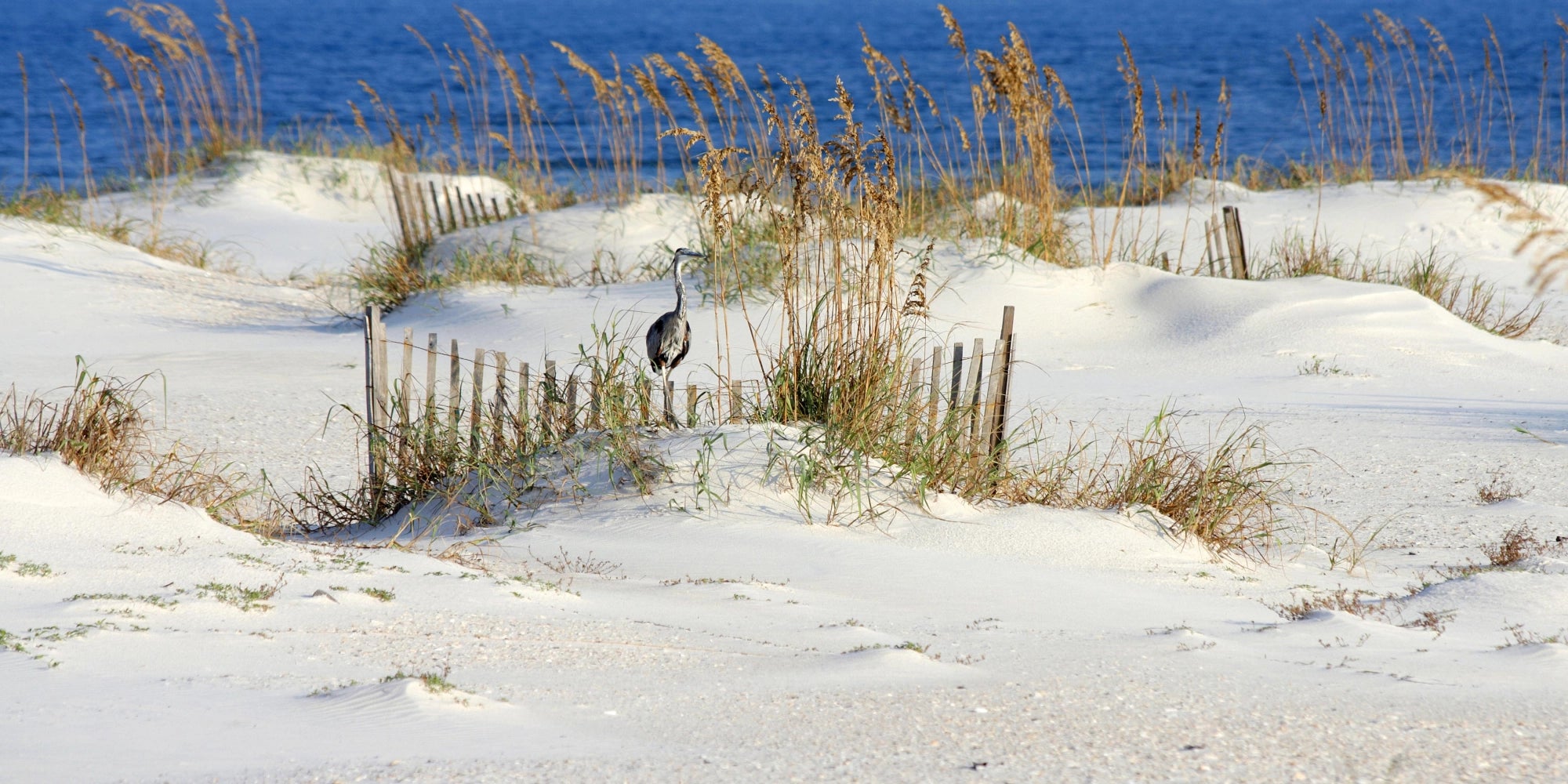 Serene Shoreline - Seaside Solitude Wall Art