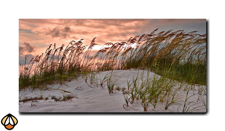 Golden Hour - Beach Serenity Wall Art