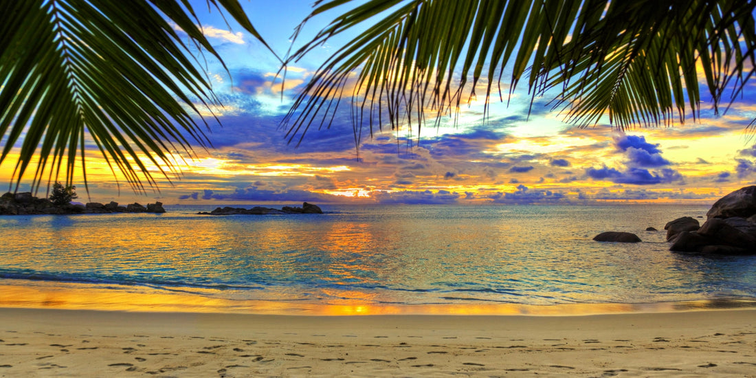 Golden Horizon - Sunset Reflection Artwork