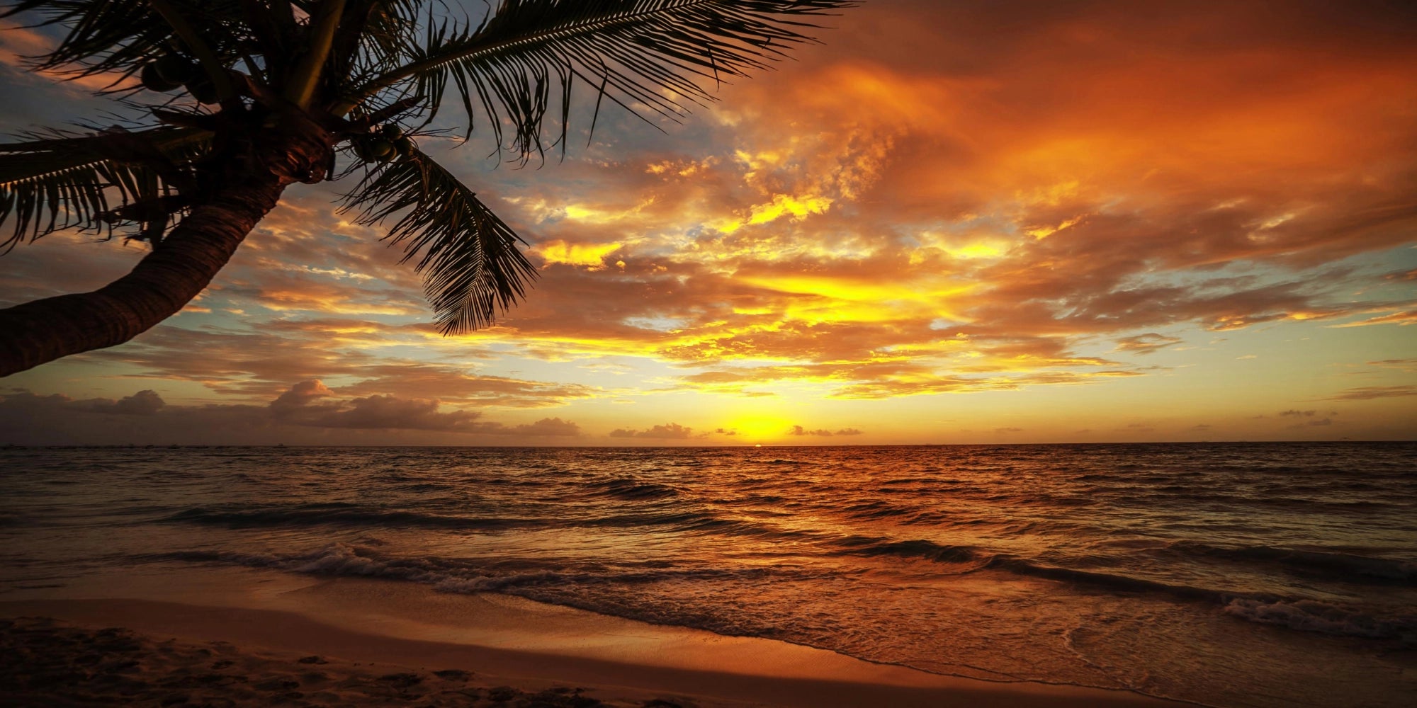 Golden Horizons - Sunset Serenity Wall Art