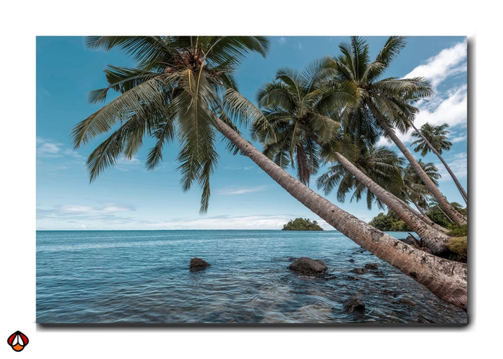 Serene Palms by the Ocean - Tropical Bliss