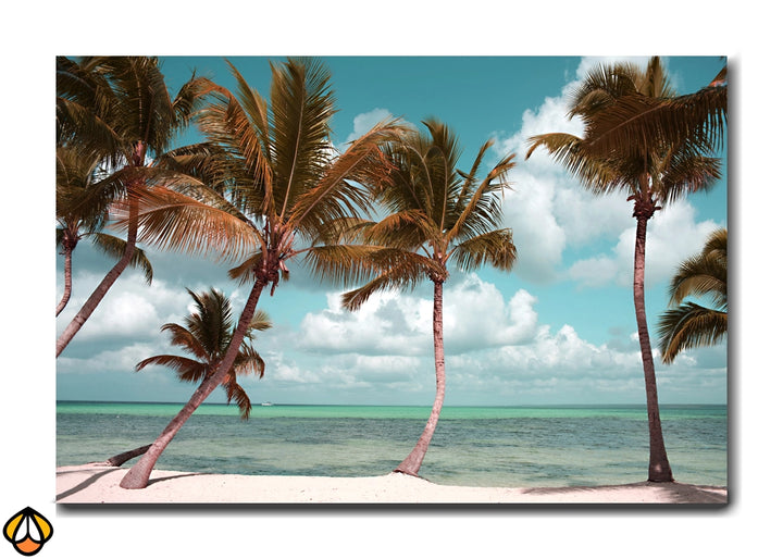 Palm Reflections - Tropical Serenity Art