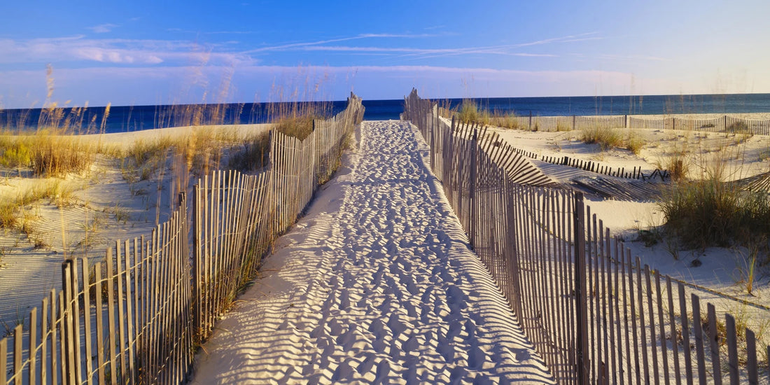 Golden Hour Path - Sand and Sea Bliss