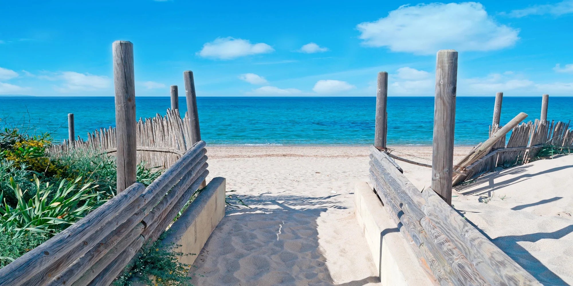 Beach Pathway to Serenity - Premium Wall Art