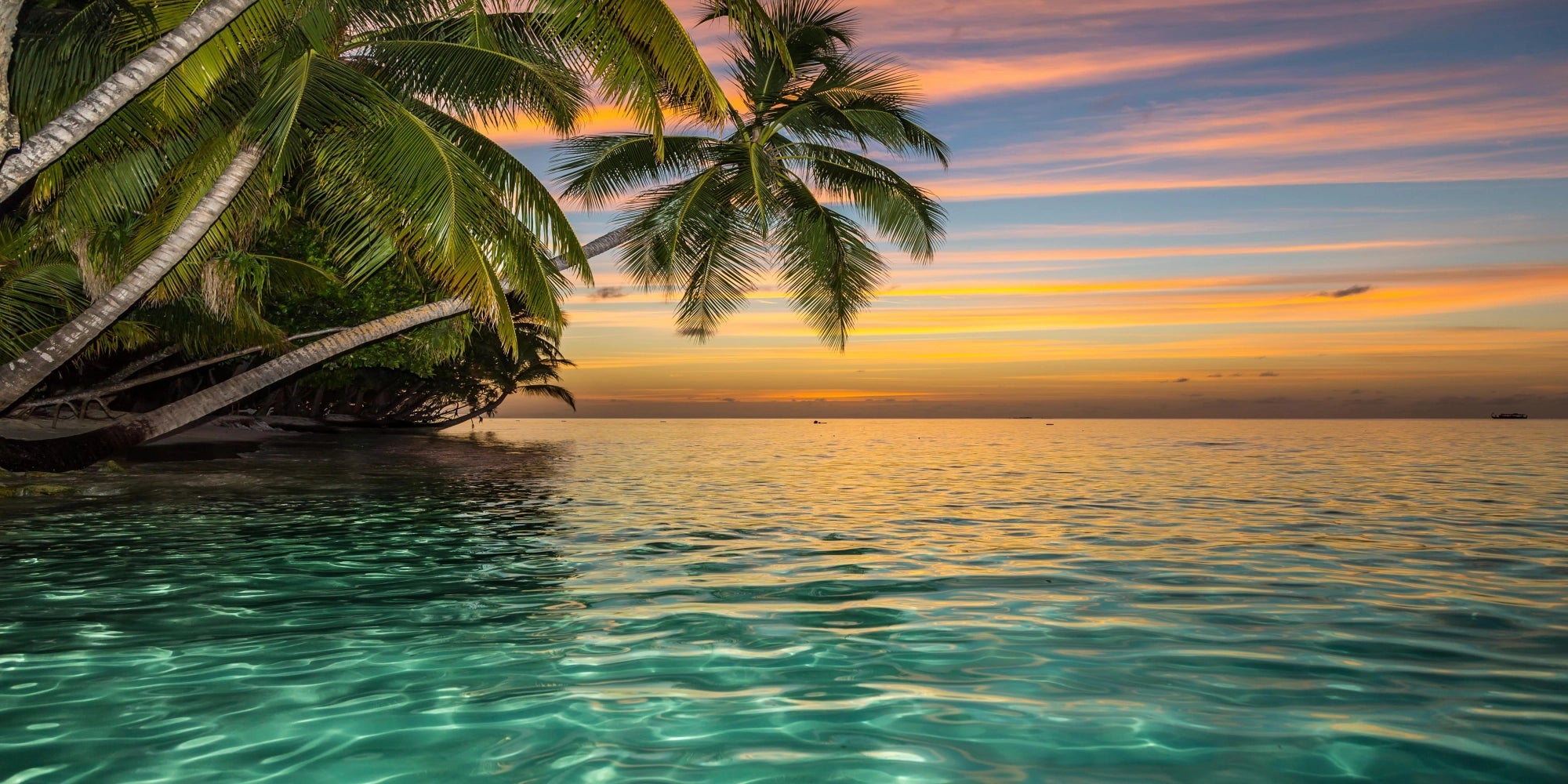 Tropical Sunset - Tranquil Beach Escape Wall Art
