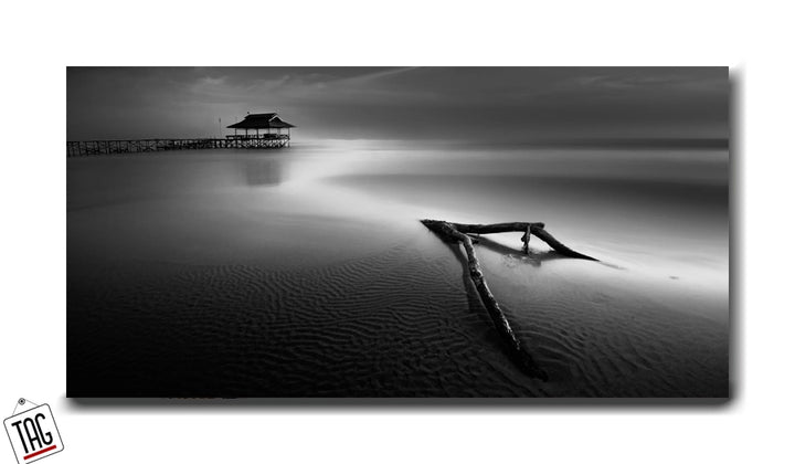 Silent Shore - Premium Black and White Wall Art
