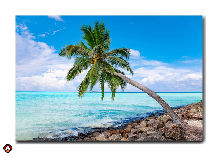 Coastal Palm Elegance - Premium Wall Art