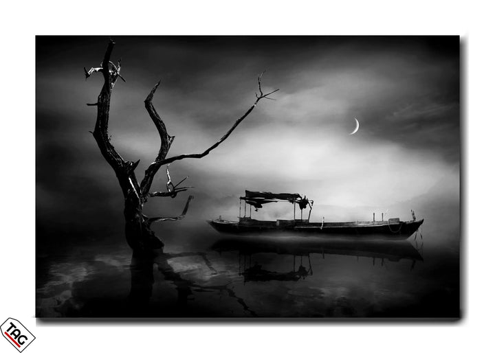 Moonlit Solitude - A Silent Journey