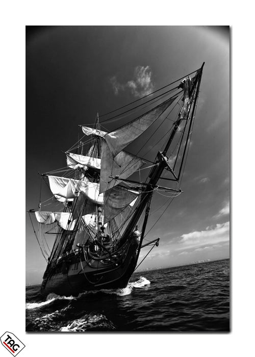 Timeless Voyage - The Majesty of Sail