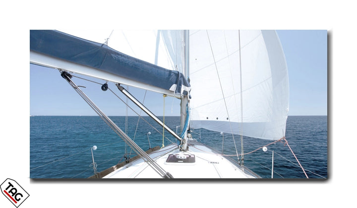 Sailing Freedom - Open Sea Adventure