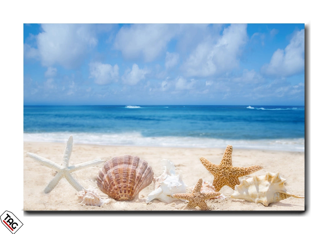 Ocean Treasures - Coastal Serenity