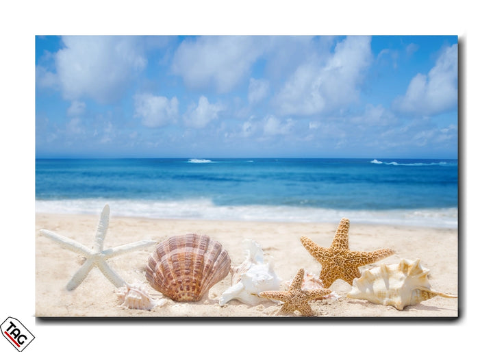 Ocean Treasures - Coastal Serenity