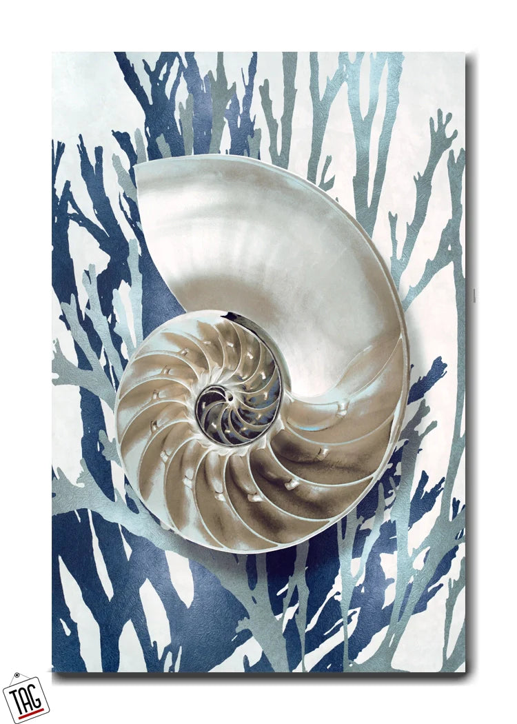 Silver Nautilus - Ocean's Elegant Geometry