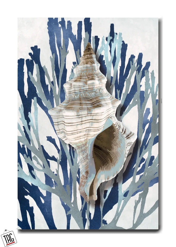Ocean Whisper - The Art of the Seashell