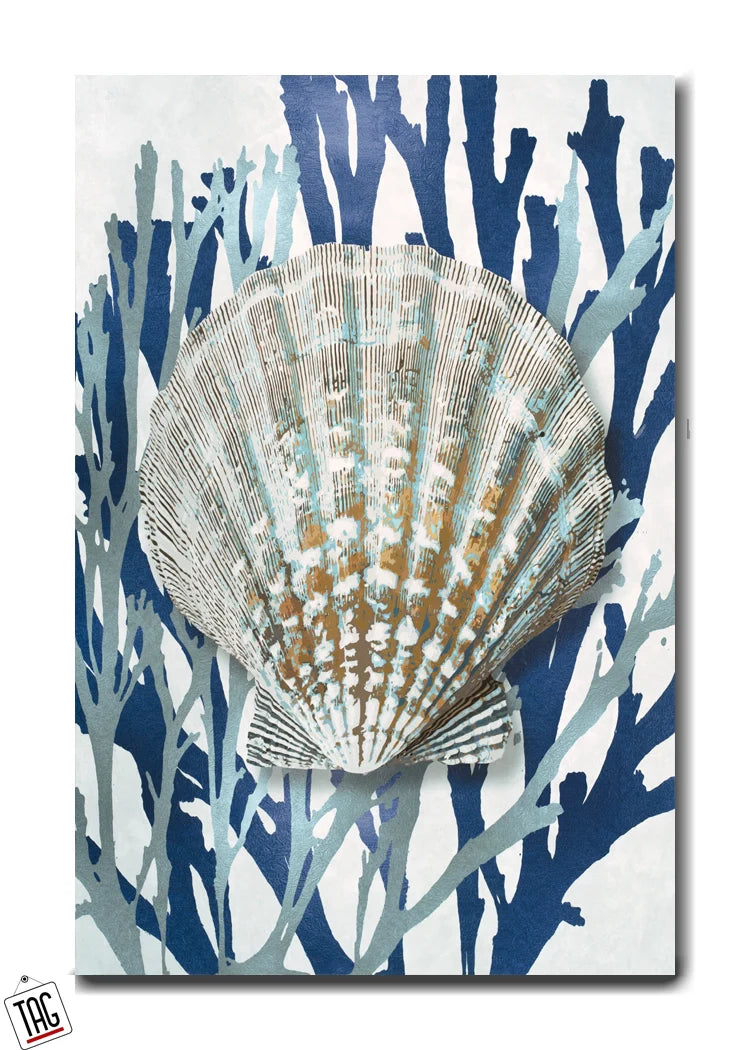 Ocean Treasures - The Beauty of a Scallop Shell
