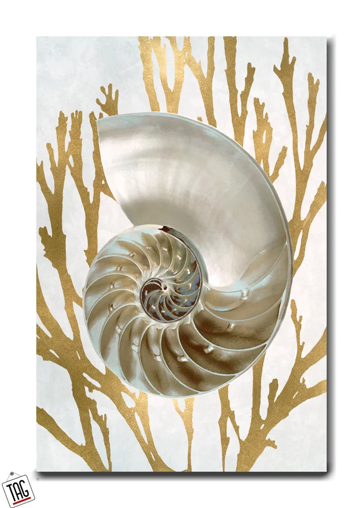 Golden Nautilus Serenity - Coastal Elegance