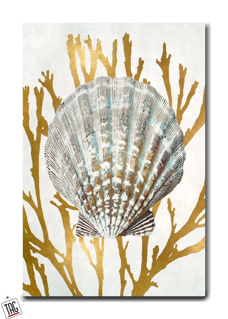 Golden Fan Shell Elegance - Coastal Beauty