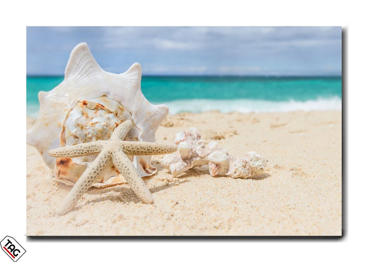 Whispers of the Shore – Beachside Elegance