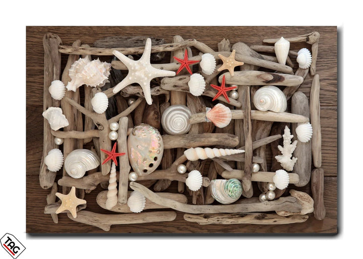 Tidal Treasures – Driftwood and Shells Symphony