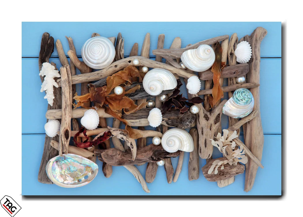 Oceanic Elegance – Driftwood & Pearl Seashell Collage
