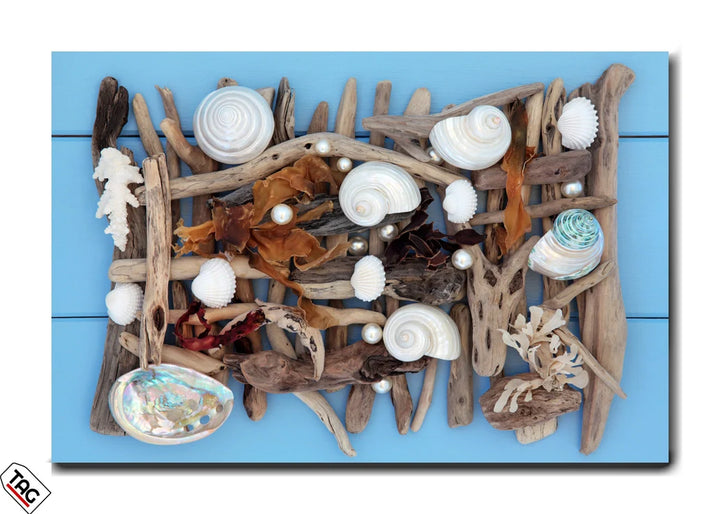 Oceanic Elegance – Driftwood & Pearl Seashell Collage