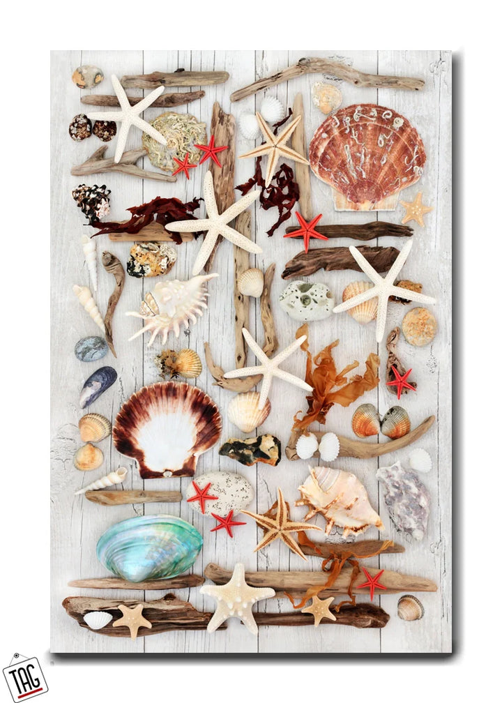 Seaside Symphony – Coastal Driftwood & Shell Montage