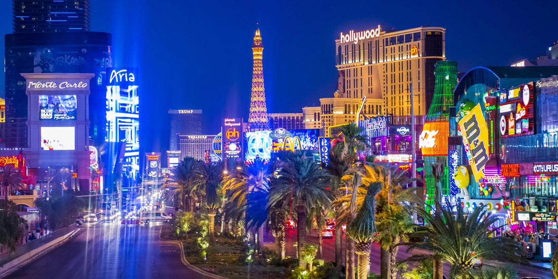 The Las Vegas Strip – A Neon Wonderland