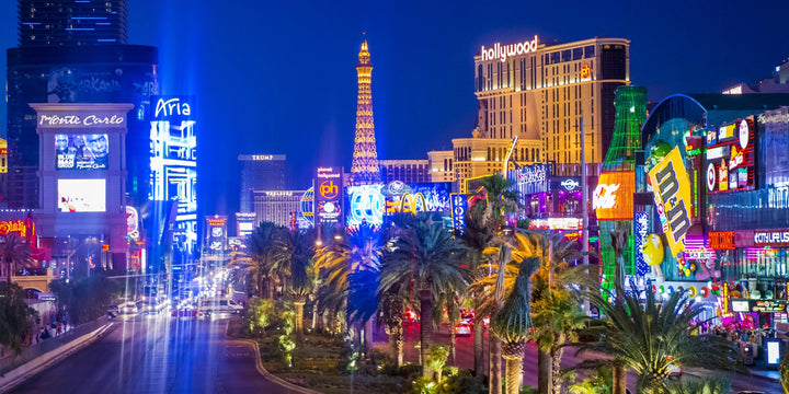 The Las Vegas Strip – A Neon Wonderland