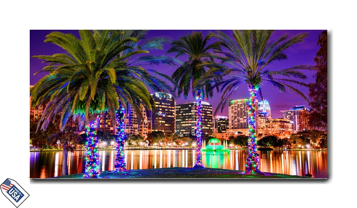 Orlando's Holiday Lights – A Magical Cityscape