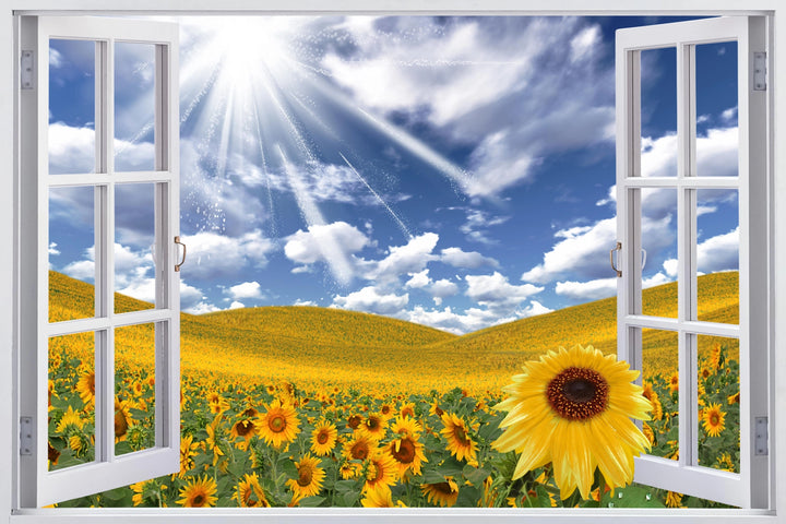 Sunny Horizons - Open Window to Nature
