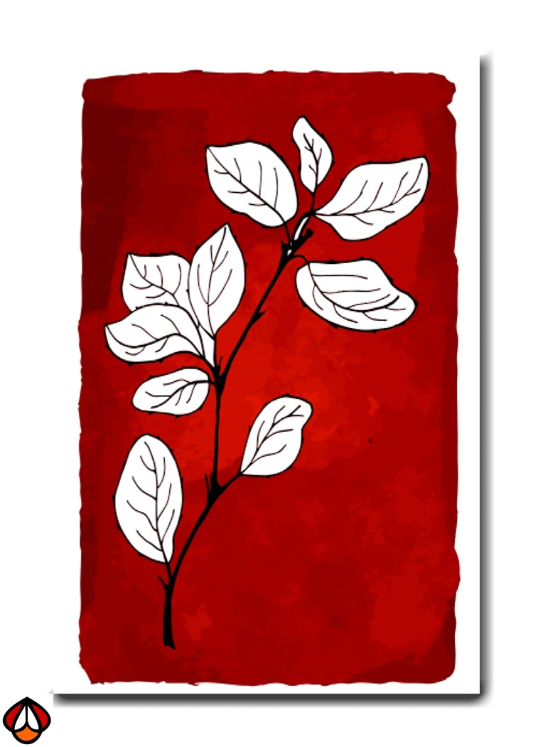 Crimson Blossom - Botanical Wall Art