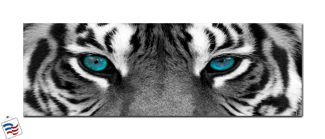 Piercing Gaze - The Eyes of the Tiger
