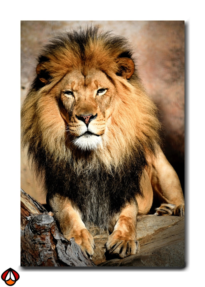 King of the Wild - Regal Lion Portrait