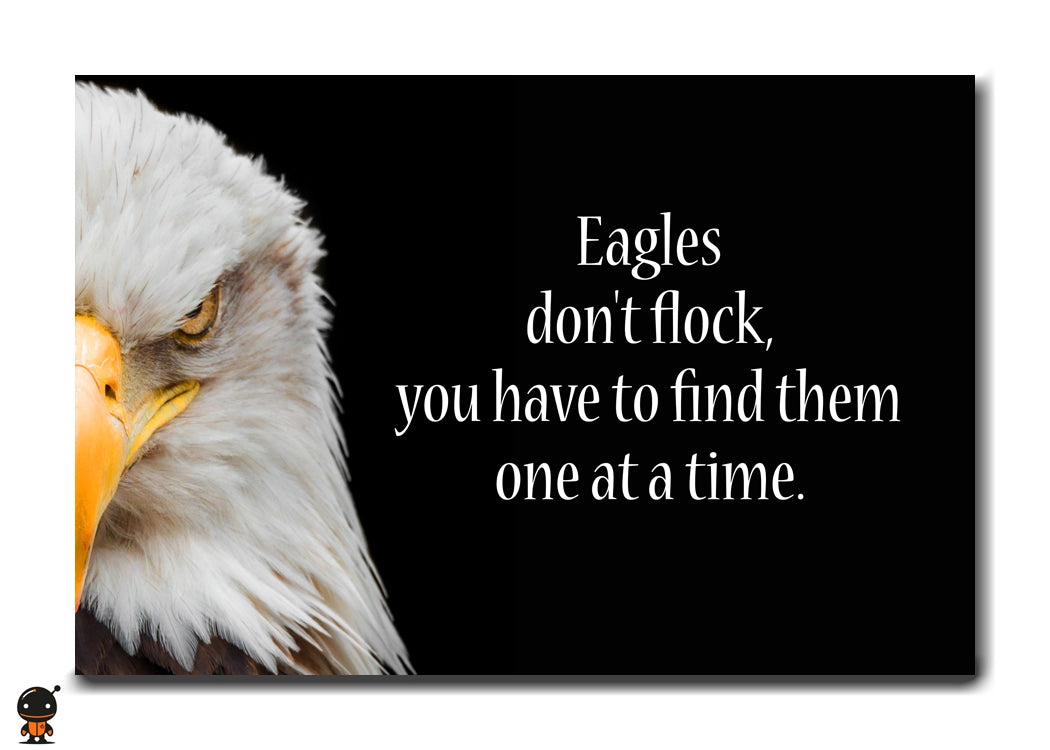 Eagles Don’t Flock - The Pursuit of Excellence